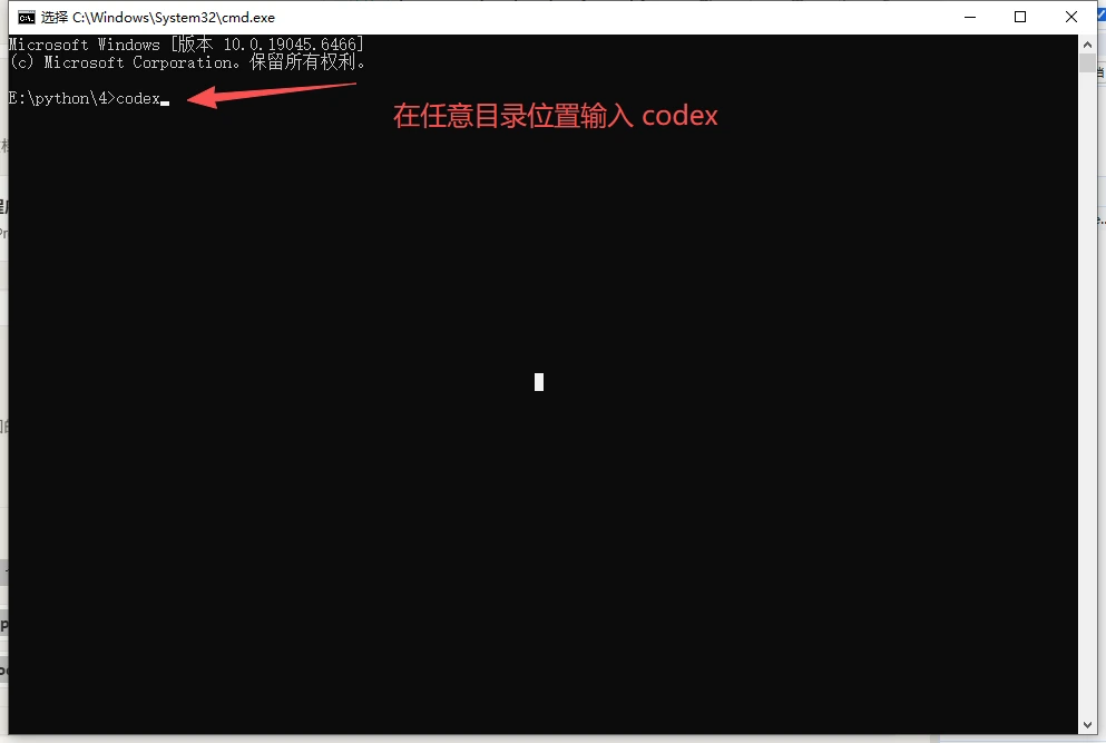 在终端运行 Codex